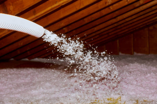 Best Insulation Maintenance and Repair in Ringgold, LA